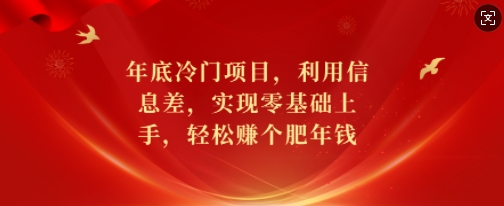 年底冷门项目，利用信息差，实现零基础上手，轻松赚个肥年钱【揭秘】-财虎网络科技