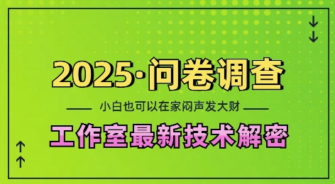 2025问卷调查最新工作室技术解密：一个人在家也可以闷声发大财，小白一天2张，可矩阵放大【揭秘】-财虎网络科技