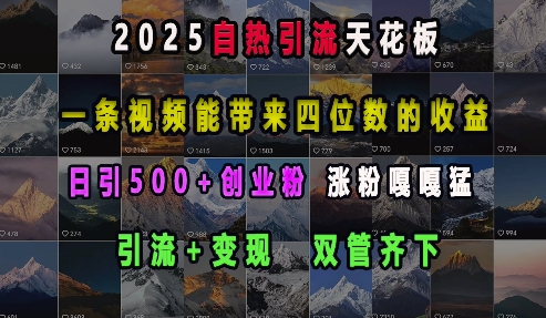 2025自热引流天花板，一条视频能带来四位数的收益，引流+变现双管齐下，日引500+创业粉，涨粉嘎嘎猛-财虎网络科技