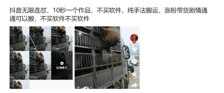 抖音无限连怼,10秒一个作品不买软件,纯手法搬运,涨粉带货剧情通通可以搬-财虎网络科技