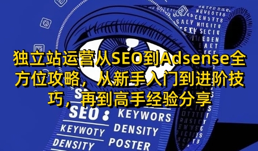 独立站运营从SEO到Adsense全方位攻略，从新手入门到进阶技巧，再到高手经验分享-财虎网络科技