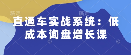 直通车实战系统：低成本询盘增长课，让个人通过技能实现升职加薪，让企业低成本获客，订单源源不断-财虎网络科技