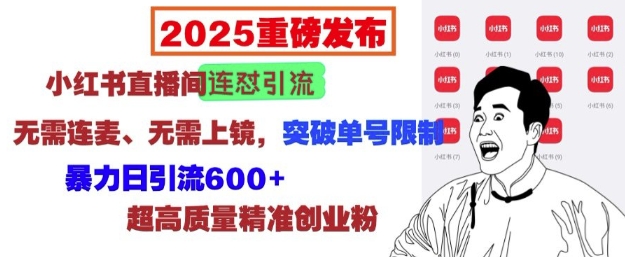2025重磅发布：小红书直播间连怼引流，无需连麦、无需上镜，突破单号限制，暴力日引流600+-财虎网络科技
