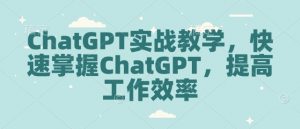 ChatGPT实战教学，快速掌握ChatGPT，提高工作效率-财虎网络科技