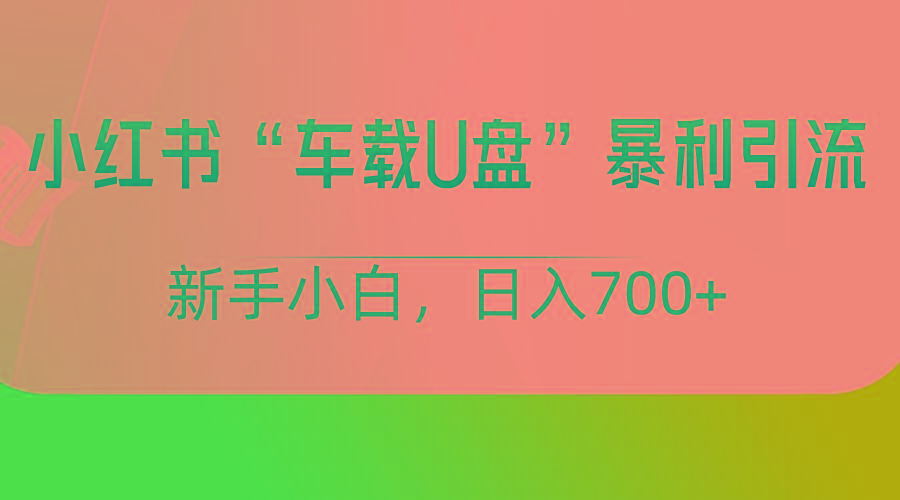 小红书“车载U盘”项目，暴利引流，新手小白轻松日入700+-财虎网络科技