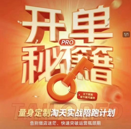 淘宝开单秘籍PRO,量身定制淘天实战陪跑计划,告别做店迷茫、快速突破运营瓶颈期-财虎网络科技