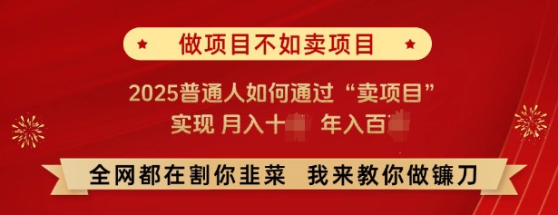 必看，做项目不如卖项目，2025普通人如何通过“卖项目”实现月入十个，年入百个-财虎网络科技