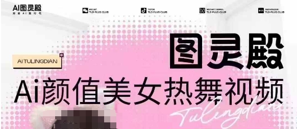 全网首发,原价988图灵殿AI颜值美女热舞视频,云端生图,轻松过原创-财虎网络科技
