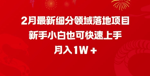 2月最新细分领域落地项目，新手小白也可快速上手，月入1W-财虎网络科技