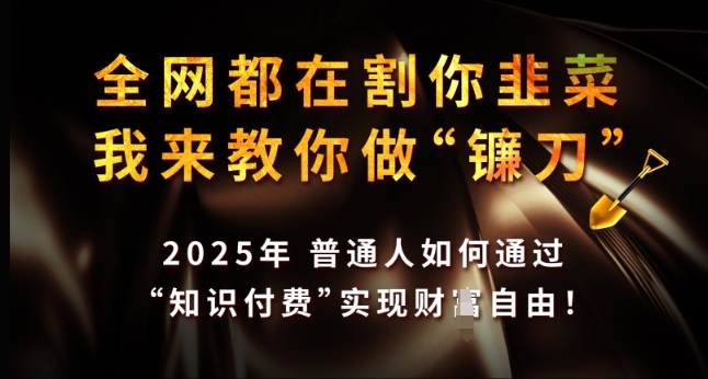 全网都在割你韭菜，我来教你做镰刀，2025年普通人如何通过 知识付费 实现财F自由【揭秘】-财虎网络科技