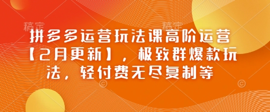 拼多多运营玩法课高阶运营【2月更新】，极致群爆款玩法，轻付费无尽复制等-财虎网络科技