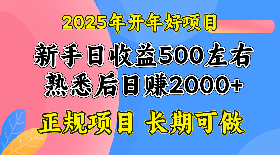 2025开年好项目，单号日收益2000左右-财虎网络科技