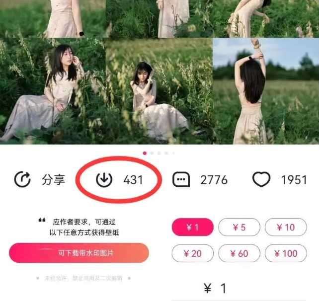 最新图虫搬运项目，收益无上限，利用AI小白也可日赚500+-财虎网络科技