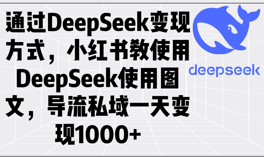 通过DeepSeek变现方式，小红书教使用DeepSeek图文，导流私域一天变现1000+-财虎网络科技