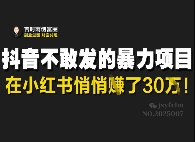 抖音不敢发的暴利项目，在小红书悄悄挣了30W-财虎网络科技
