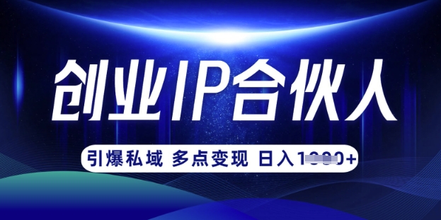 云帆·创业ip合伙人打造3.0,从0到1教你做网创,实现月入过W-财虎网络科技