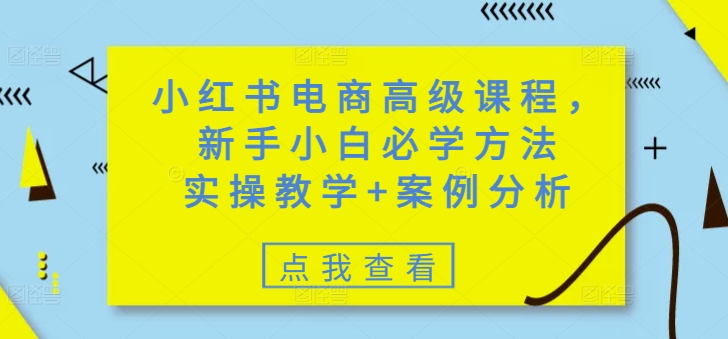 小红书电商高级课程，新手小白必学方法，实操教学+案例分析-财虎网络科技