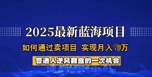 2025蓝海项目,普通人如何通过卖项目,实现月入过W,全过程【揭秘】-财虎网络科技