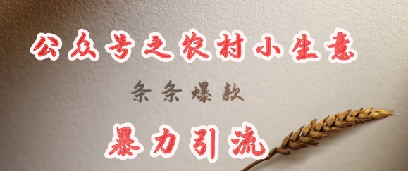 deepseek写农村小项目，条条爆款，暴力引流-财虎网络科技