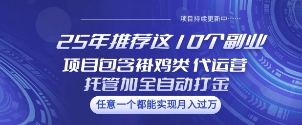 25年推荐这10个副业项目包含褂鸡类、代运营托管类、全自动打金类【揭秘】-财虎网络科技