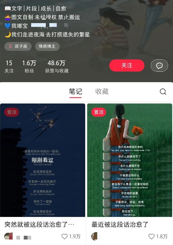 小红书治愈文案图文笔记,零门槛,一分钟制作轻松制作爆款作品月入万元-财虎网络科技