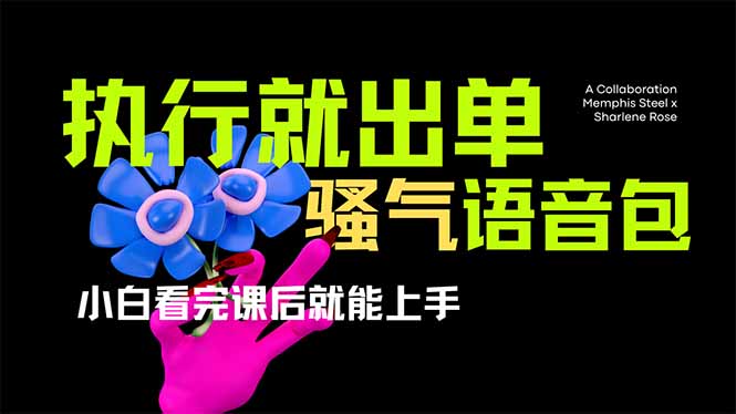 爆火全网的开车导航骚气语音包,只要执行就出单，小白看完课程就能实操…-财虎网络科技