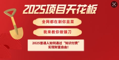 2025项目天花板普通人如何通过知识付费,实现财F自由【揭秘】-财虎网络科技