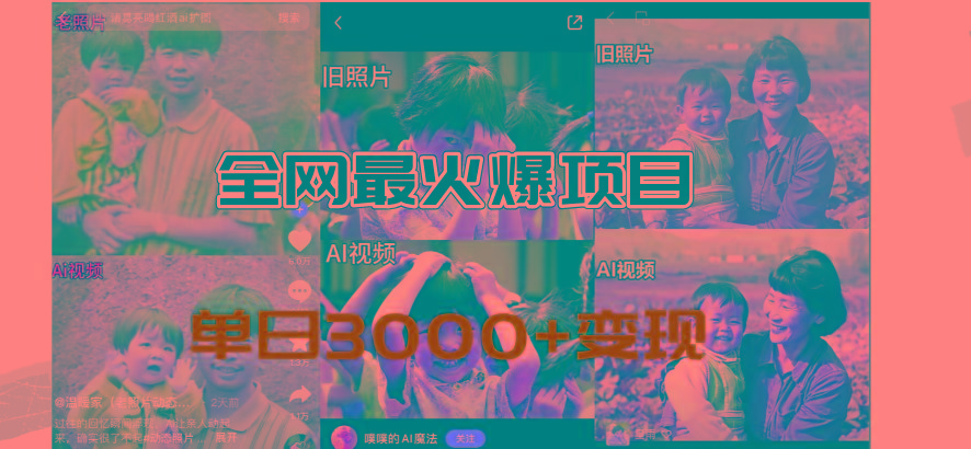 全网爆火的AI让老照片动起来教程，蹭热点日赚3000+，内含免费工具一键…-财虎网络科技