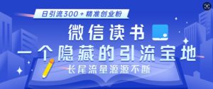 微信读书，一个隐藏的引流宝地，不为人知的小众打法，日引流300+精准创业粉，长尾流量源源不断-财虎网络科技