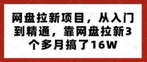 网盘拉新项目，从入门到精通，靠网盘拉新3个多月搞了16W-财虎网络科技