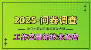 2025问卷调查最新工作室技术解密：一个人在家也可以闷声发大财，小白一天2张，可矩阵放大【揭秘】-财虎网络科技