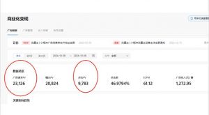 抖音雪花无人直播，一天躺赚3000+，0粉手机可搭建，不违规不限流，小白...-财虎网络科技