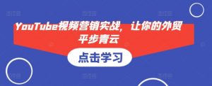 YouTube视频营销实战，让你的外贸平步青云-财虎网络科技