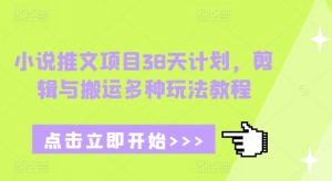 小说推文项目38天计划，剪辑与搬运多种玩法教程-财虎网络科技