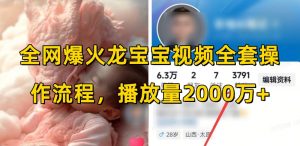 全网爆火龙宝宝视频全套操作流程，播放量2000万+-财虎网络科技