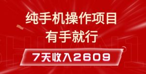 纯手机操作的小项目，有手就能做，7天收入2609+实操教程【揭秘】-财虎网络科技