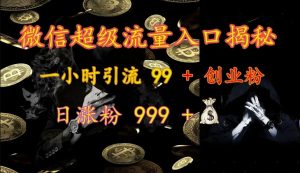 微信超级流量入口揭秘:一小时引流 99 + 创业粉,日涨粉 999 +-财虎网络科技