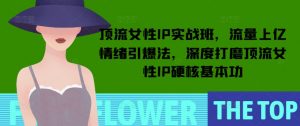 顶流女性IP实战班,流量上亿情绪引爆法,深度打磨顶流女性IP硬核基本功-财虎网络科技