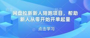 网盘拉新新人陪跑项目，帮助新人从零开始开单起量-财虎网络科技