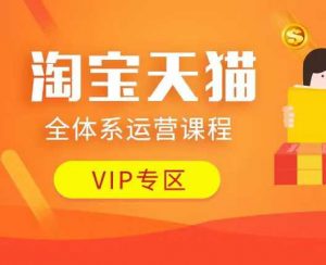 淘宝天猫全体系运营课程：店铺全系运营、动销玩法、付费推广、流量提升、擦边球玩法等等-财虎网络科技