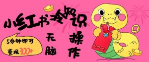 小红书冷知识账号，无脑复制粘贴，5分钟即可变现3张-财虎网络科技