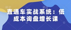 直通车实战系统：低成本询盘增长课，让个人通过技能实现升职加薪，让企业低成本获客，订单源源不断-财虎网络科技