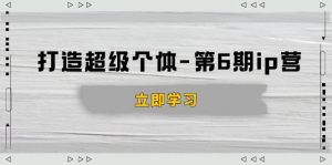 打造 超级个体-第6期ip营：商业认知,产品设计,成交演练,解决知识变现难题-财虎网络科技