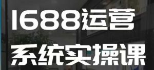 1688高阶运营系统实操课，快速掌握1688店铺运营的核心玩法-财虎网络科技