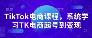 TikTok电商课程，​系统学习TK电商起号到变现-财虎网络科技