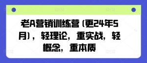 老A营销训练营(更25年1月)，轻理论，重实战，轻概念，重本质-财虎网络科技