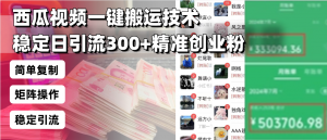 西瓜视频一键搬运技术，稳定日引流300+精准创业粉，简单可复制给团队，...-财虎网络科技