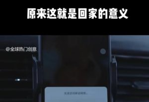 利用春节风口，制作热点视频，多种玩法类型，新手也能轻松变现！-财虎网络科技