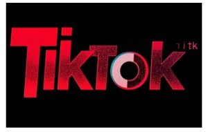 TikTok ads投流秘籍，涵盖tiktok整体投放思路，教你搭建测试计划-财虎网络科技