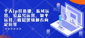 个人ip打造课，私域运营，公众号运营，知乎运营，底层逻辑和方向定位等-财虎网络科技